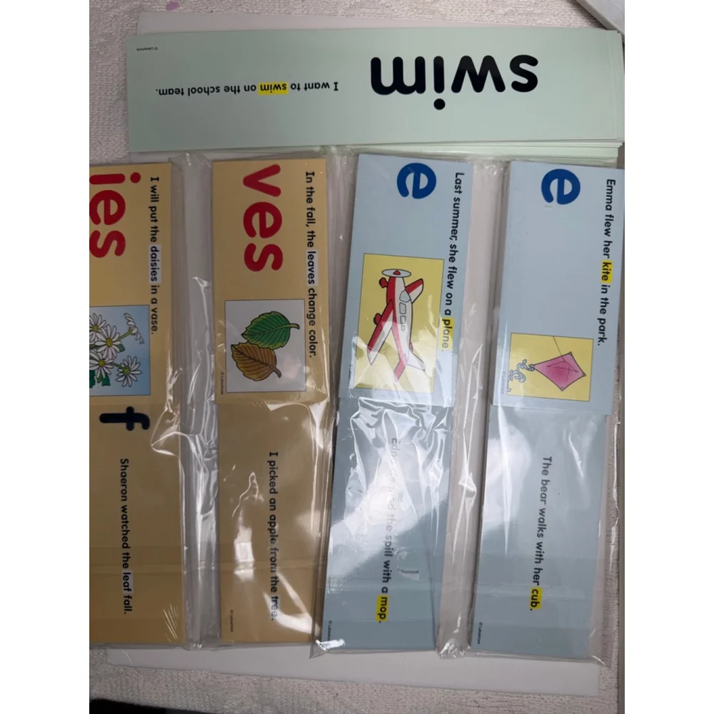Lakeshore Learning vowel and sight words strips